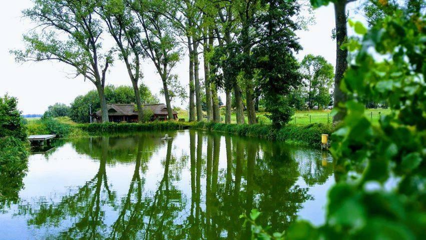Hotel&Spa Dwór Droblin Leśna Podlaska Exterior foto